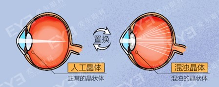 圖片.png 圖片.png