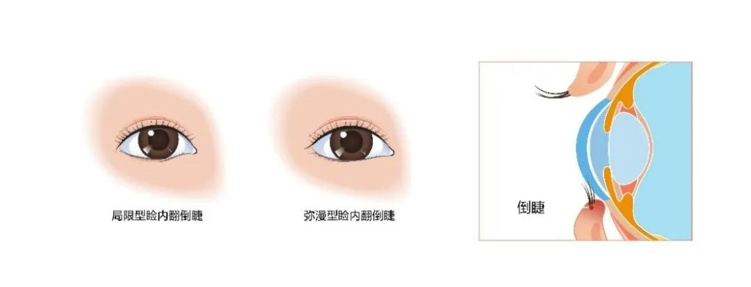 圖片.png 圖片.png